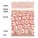 광장피부과 이미지