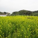 (유)진해교통 이미지