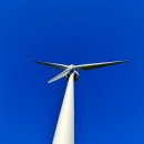 백담설화캠핑장 네이버블로그