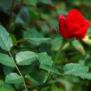 흐르는물 이미지