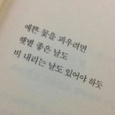 비비드카페 이미지