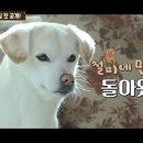 열린민박 이미지