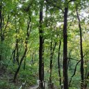 오전동 약수터 이미지