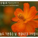 참나무쟁이 이미지