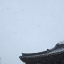 혜창 | 명산 속 사찰, 김천 직지사(1.27) 설중 방문