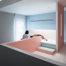 도그-in 하우스 이미지