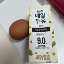 다즐필라테스 | 수원 다이어트 관리 4회차 체지방 1.5키로 감량 후기 + 전 후 사진 비교