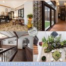 푸리바바 이미지