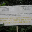 이중언어, 외국어가 뇌와 행동에 미치는 영향 (1) "다국어 세계" 이미지