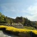 진도채원알뜰마트 이미지