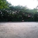 우룡산공원 이미지