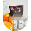 프로토콜 | 닥터토루 고양이 신장 유산균 프로바이오틱스 프로토콜 장관리 후기