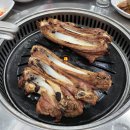 참돼지 이미지