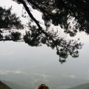 함박산목장 이미지