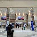 미국 LA 로스엔젤레스 공항 입국심사 후기 렌트카 허츠 이동 방법 가볼만한곳 정리