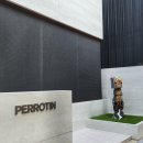 대동과학 | [페로탕 서울] 이즈미 카토 개인전 후기, 작품 소개 - 지브리 영화 애니미즘 사상과의 연결성