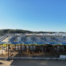 상업용 62 이미지