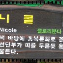 계양산산림욕장(장미원) 이미지