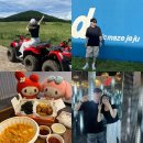 굿모닝 | 3박 4일 제주도 여행 둘째날 일정 (어랑어랑 갈치조림, 사려니ATV, 다이나믹 메이즈 제주)