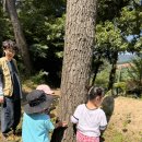[숲 체험] 우리반 나무 만들기 이미지
