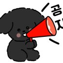 좋은피싱