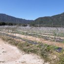 GS25포천노곡점 이미지