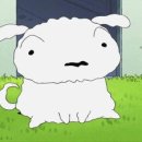 나랑놀개 이미지