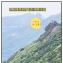 2021028 | 경상남도 거제도 당일치기 여행 완전 딱이였어요!!