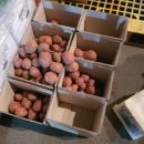 하나농산물 이미지