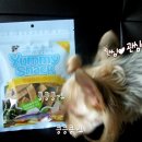 야미스넥