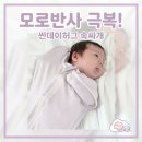 화이트허그 | 신생아 속싸개 메쉬 밤부 모로반사 줄여준 썬데이허그 후기