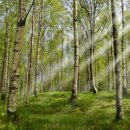 참조은병원 이미지