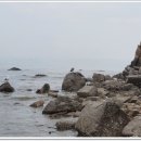 인천신도플라자 이미지