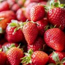 대한구내매점 이미지