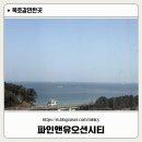 시티당구장 | [동해 파인앤유오션시티] 묵호항 여행 오션뷰 숙소 추천 내돈내산