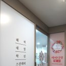 케이디펫 이미지