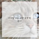 디톡스라이프 이미지