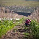 복음주보 이미지