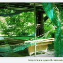 용지봉사계절 이미지