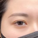 레브로우