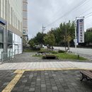 연동물병원 이미지