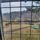 녹색향기 펜션 이미지