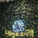 네발로오시개 이미지