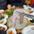 해수로참가자미 | 대구 본리동 맛집 자연산 회 고급 어종 이시가리 횟집 강추