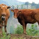 서일공인중개사사무소 이미지