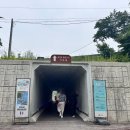 햇님나라유치원(해님) | 임실 요산공원 옥정호출렁다리 붕어섬생태공원 후기