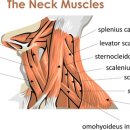 달천한의원 이미지