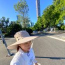 새를 타고 나는 사 | 아일랜드 투어 내돈내산 후기 모래썰매, 투명카약...바다거북이까지 봄(브리즈번 픽업 페리타고 모튼섬)