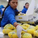 현대유통 이미지