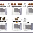 오티콘보청기잠실센터 이미지